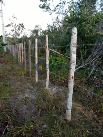 TERRENO 5.000m² À VENDA / MONTO GORDO, CAMAÇARI, BA