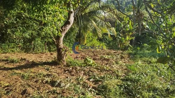 Lote/Terreno em Camaçari - Centro