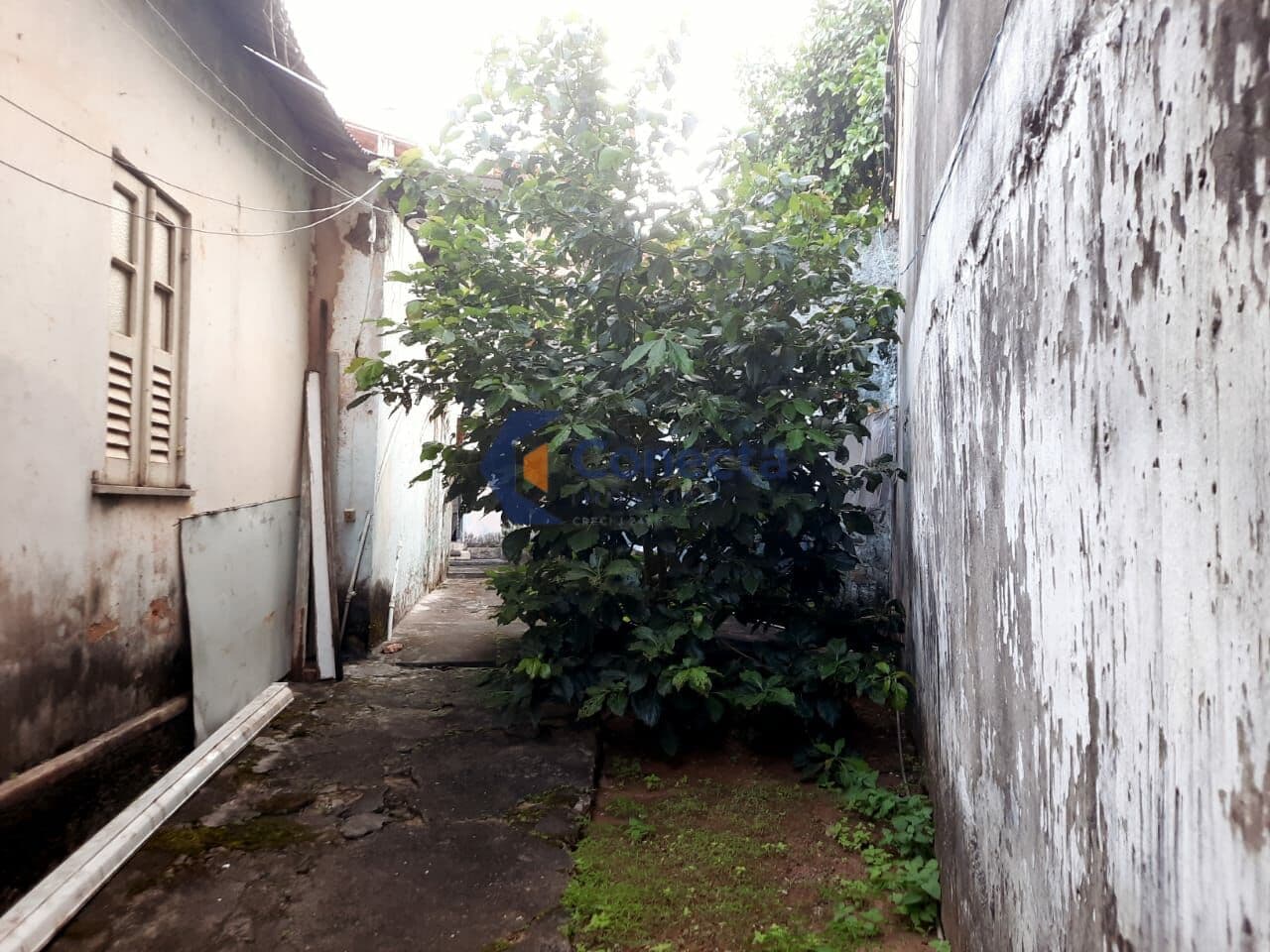 Casas a venda