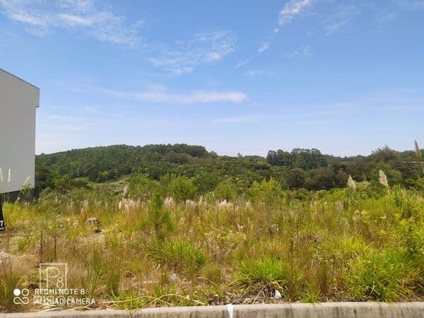 Lote/Terreno em Caxias do Sul - Desvio Rizzo