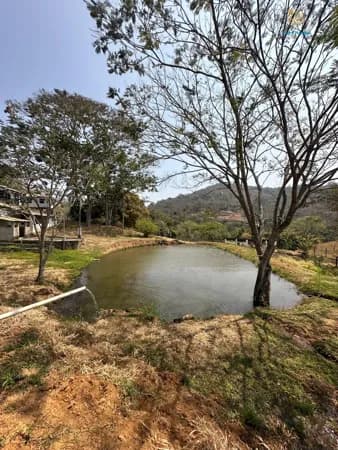 Fazenda à Venda, 54 hectares, R$ 4,5 milhões, em Carmópolis de Minas
