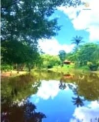 🌿 Fazendinhas à Venda em Mateus Leme – MG (OVD)