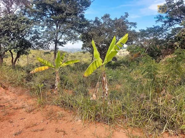 Terreno à Venda, 360 m2 por R$ 260 mil no C. Mariposas em Lagoa Santa-MG