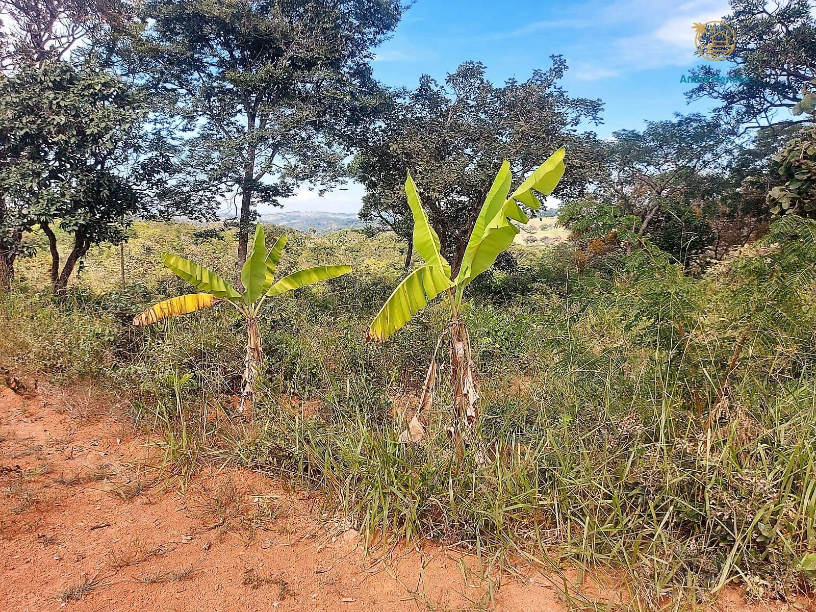 Terreno à Venda, 360 m2 por R$ 260 mil no C. Mariposas em Lagoa Santa-MG