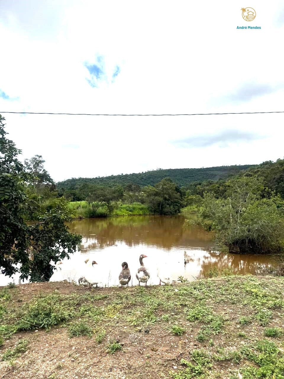 Chácaras de 5 mil m2 à Venda em Mateus Leme - MG