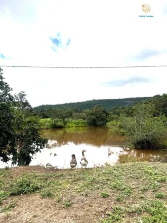 Chácaras de 5 mil m2 à Venda em Mateus Leme - MG