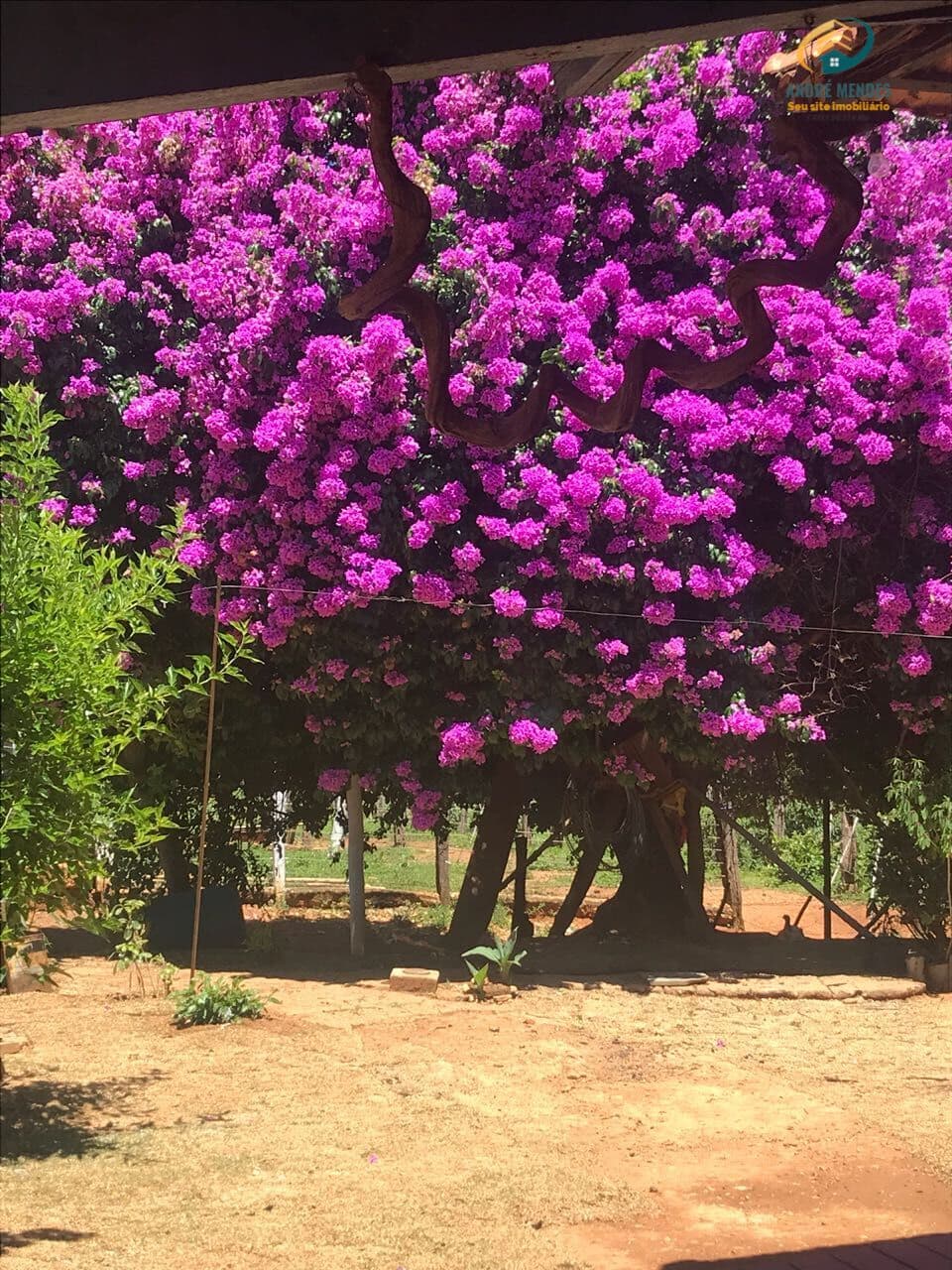 Fazendinha à Venda no Fazendas da Serra, Jaboticatubas MG