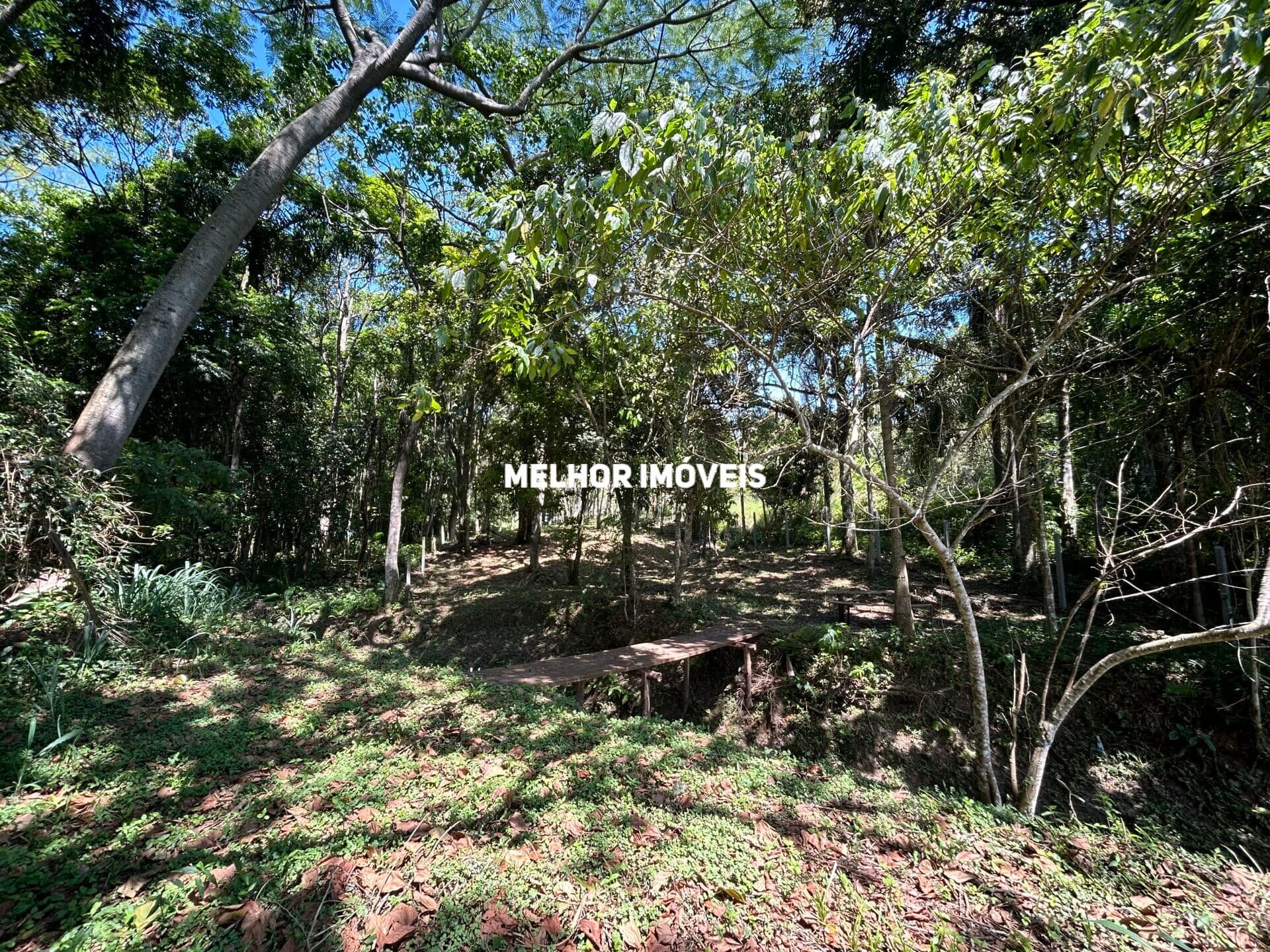 Terreno à Venda com 3.260m² - Praia do Estaleiro - Balneário Camboriú -SC