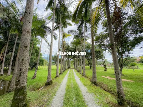 Sítio à venda em Camboriú-SC com 15.595m². Um verdadeiro paraíso com 6 lagoas, pomar e móveis rústicos.