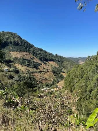 Terreno à venda no bairro Centro em Dores do Rio Preto/ES