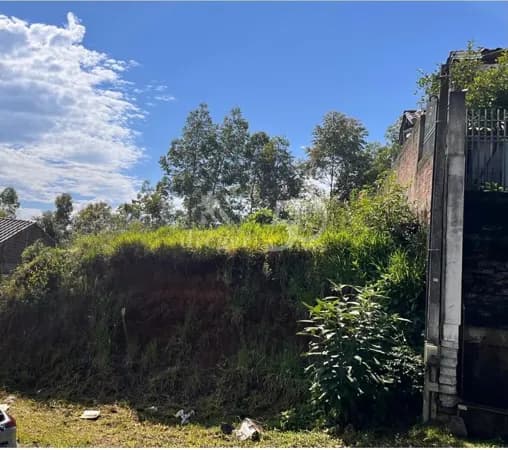 Lote/Terreno em Campo Bom - Imigrante Norte
