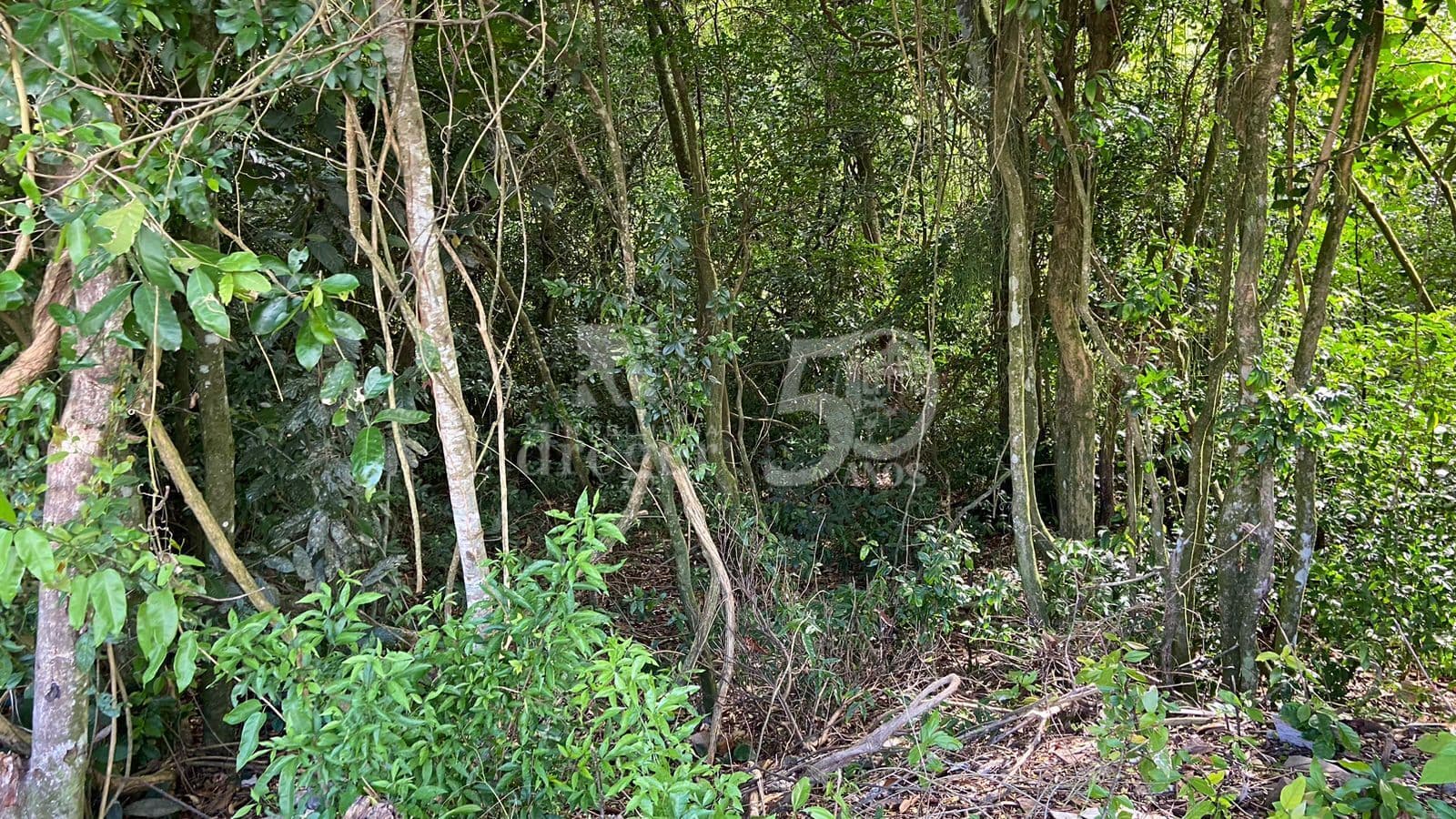 Lote/Terreno em Campo Bom - Colina Deuner