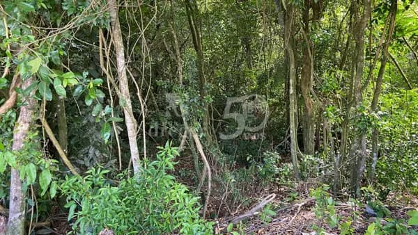 Lote/Terreno em Campo Bom - Colina Deuner