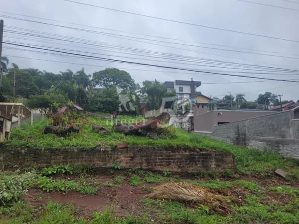 Lote/Terreno em Campo Bom - Paulista