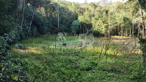 Lote/Terreno em Campo Bom - Colina Deuner