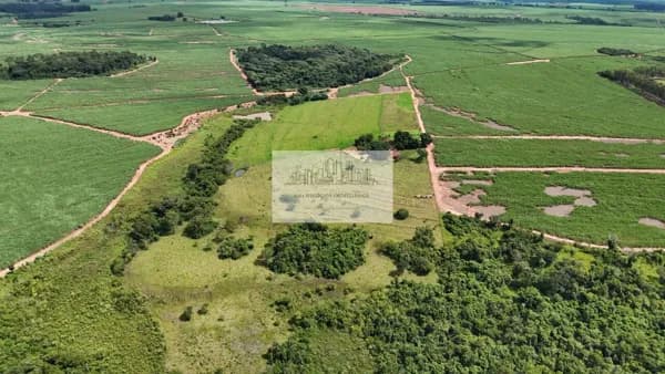 Sítio com 8 alqueires a venda em Guapiaçu!
