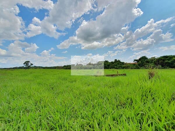 Fazenda/Sítios/Chácaras em Palestina - Centro