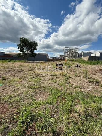Lote/Terreno em Medianeira - Vendrame