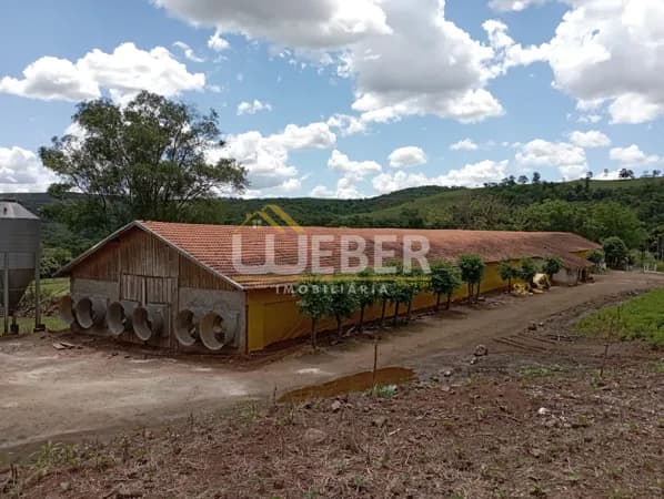 Fazenda/Sítios/Chácaras em Matelândia - Centro