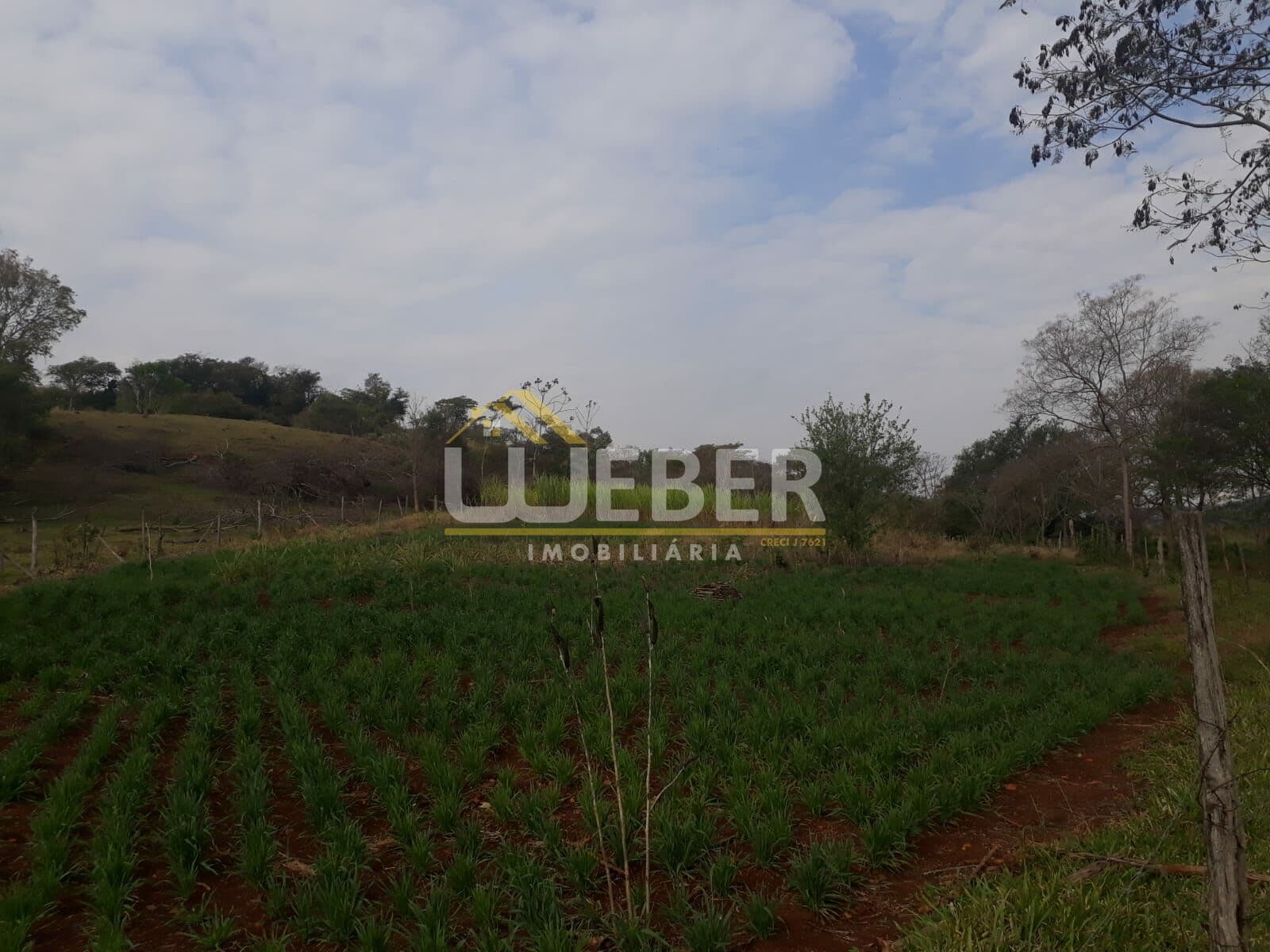 Fazenda/Sítios/Chácaras em Missal - Centro