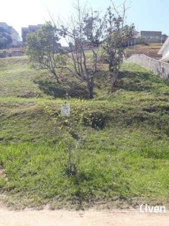 TERRENO NO MIRANTE DO VALE 1000 M²!!