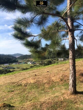 Terreno no Condomínio Mirante Camboriú com 342m