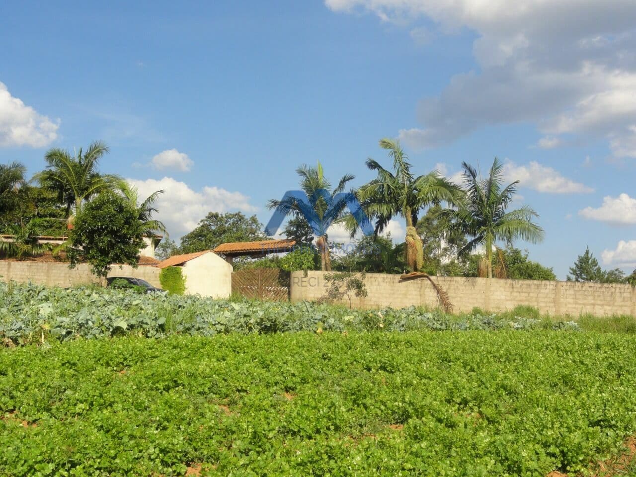 Lote/Terreno em Ibiúna - Centro