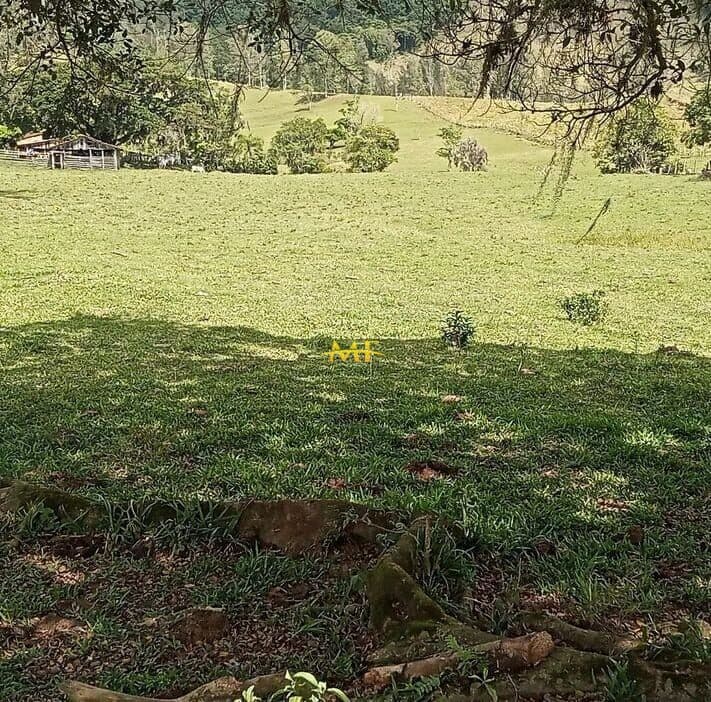 Terreno Industrial de 17 hectares