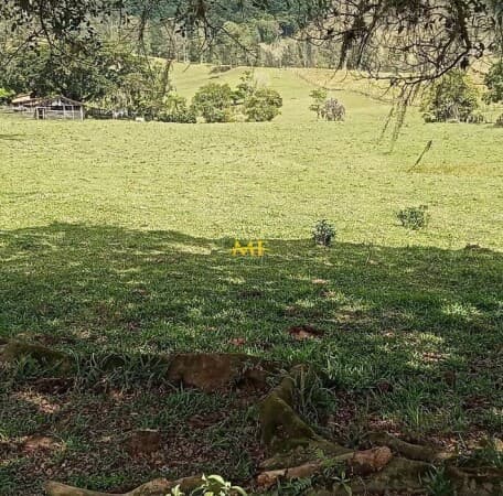 Terreno Industrial de 17 hectares