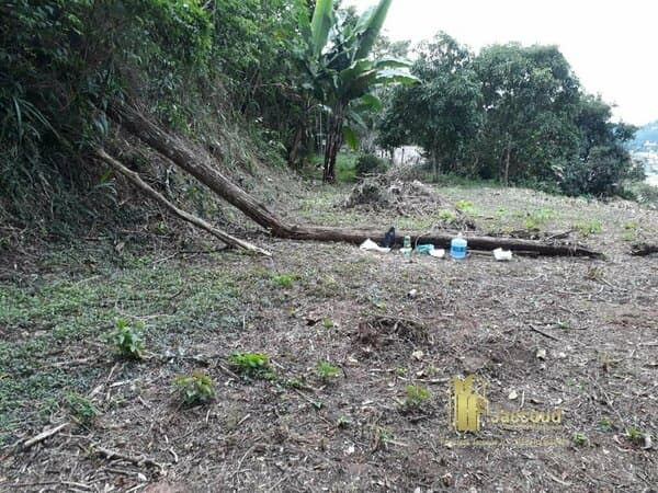 Terreno para Venda em Parque São Clemente Nova Friburgo-RJ