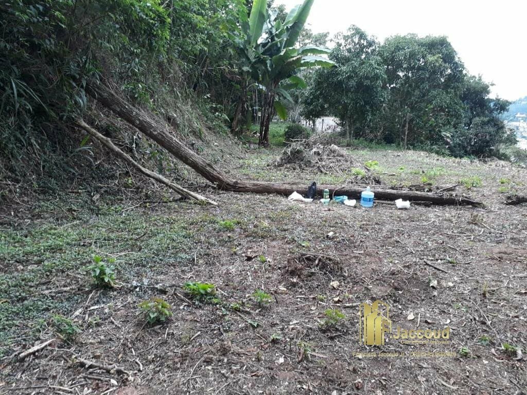 Terreno para Venda em Parque São Clemente Nova Friburgo-RJ
