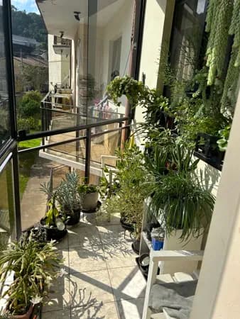 Apartamento em Nova Friburgo - Conselheiro Paulino
