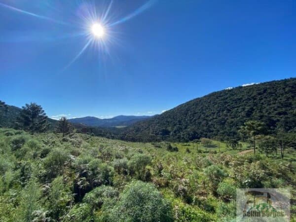 Terreno com vista