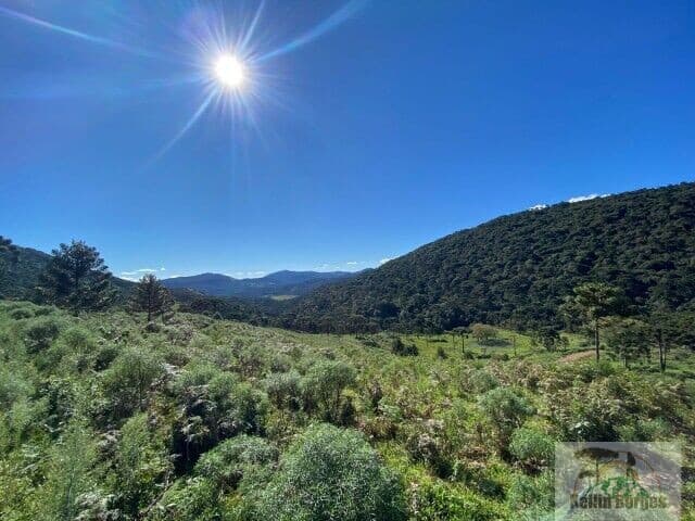 Terreno com vista