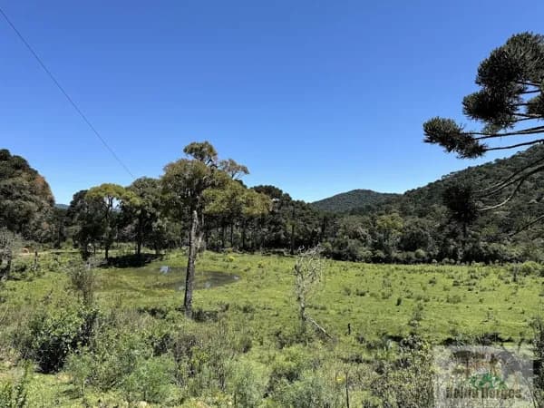 Terreno Rural