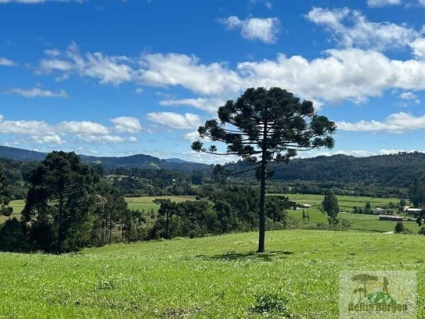 Lote/Terreno em Urubici - Interior