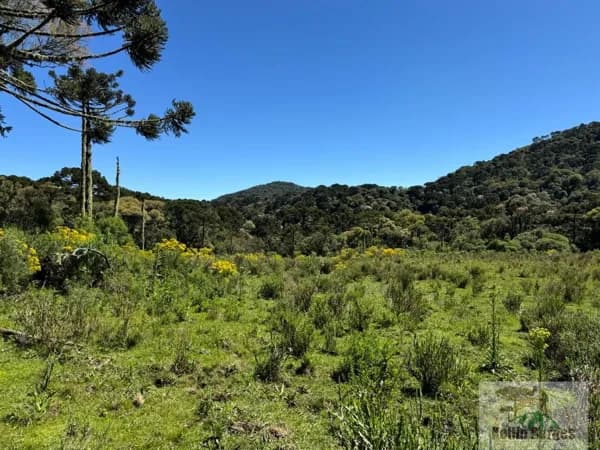 Lote/Terreno em Urubici - Interior
