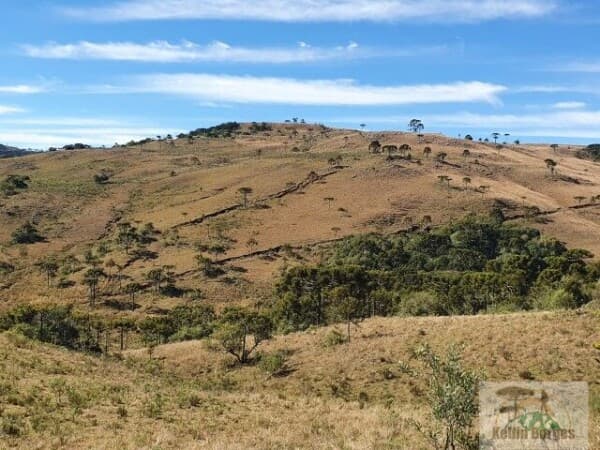Fazenda 200ha