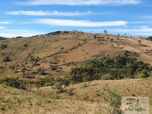 Fazenda 200ha