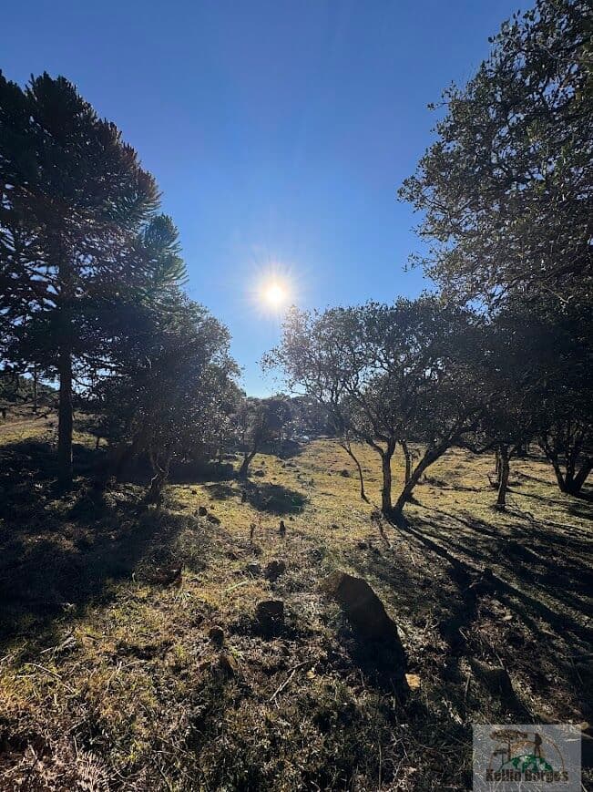 Fazenda/Sítios/Chácaras em Urubici - Interior