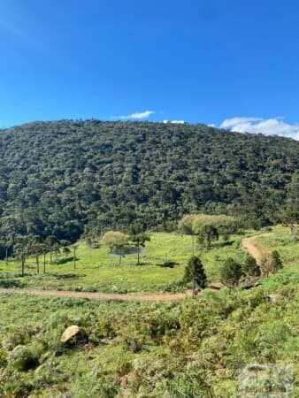 Lote/Terreno em Urubici - Centro