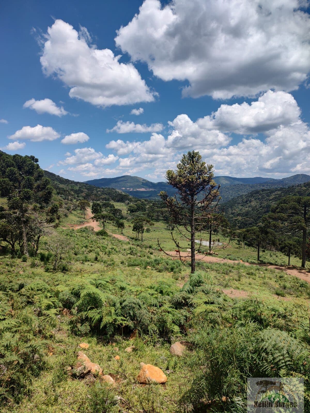 Fazenda/Sítios/Chácaras em Urubici - Interior
