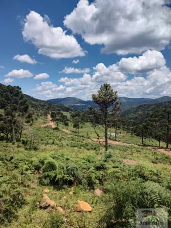 Fazenda/Sítios/Chácaras em Urubici - Interior