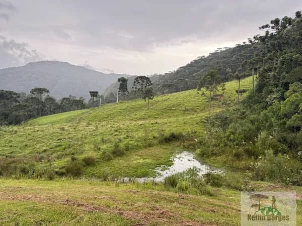 Terreno Rural