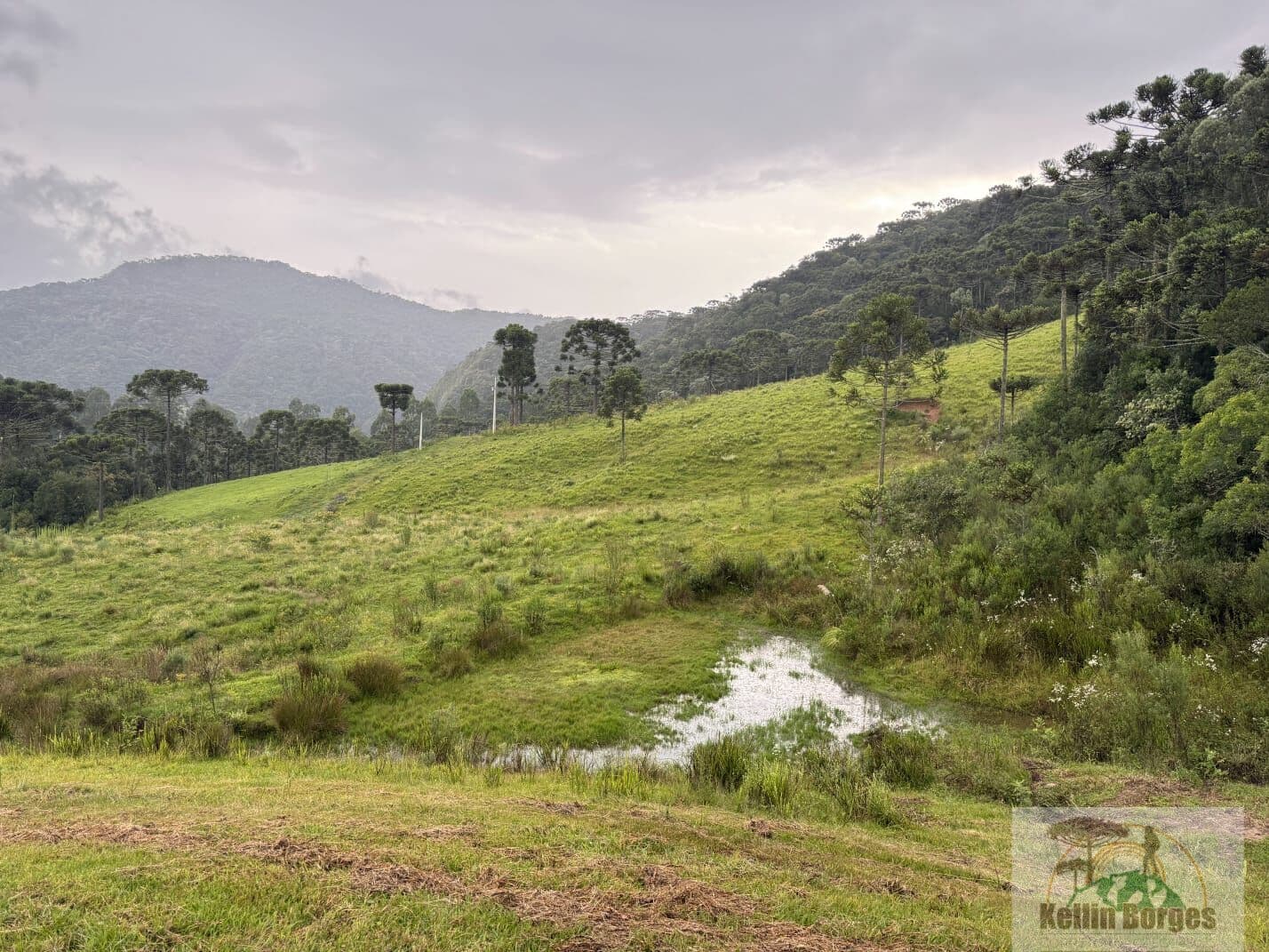 Terreno Rural