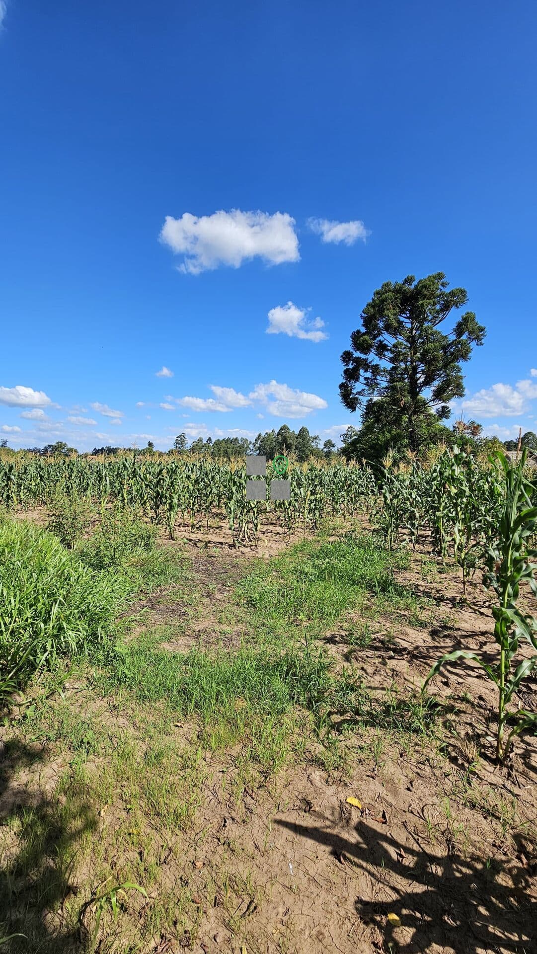 Lote/Terreno em Venâncio Aires - Bela Vista