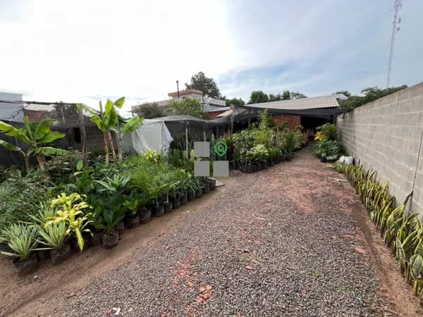 Lote/Terreno em Venâncio Aires - Gressler