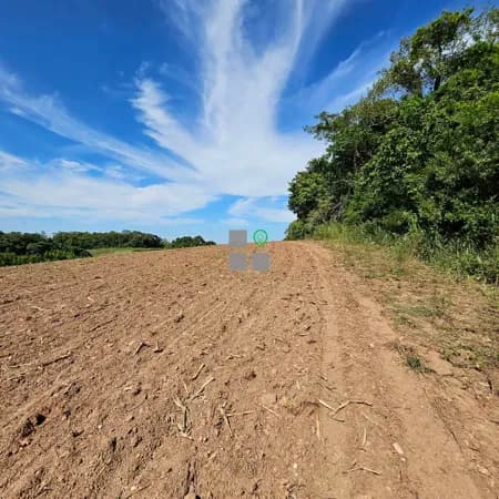 Terreno ótimo para plantio.