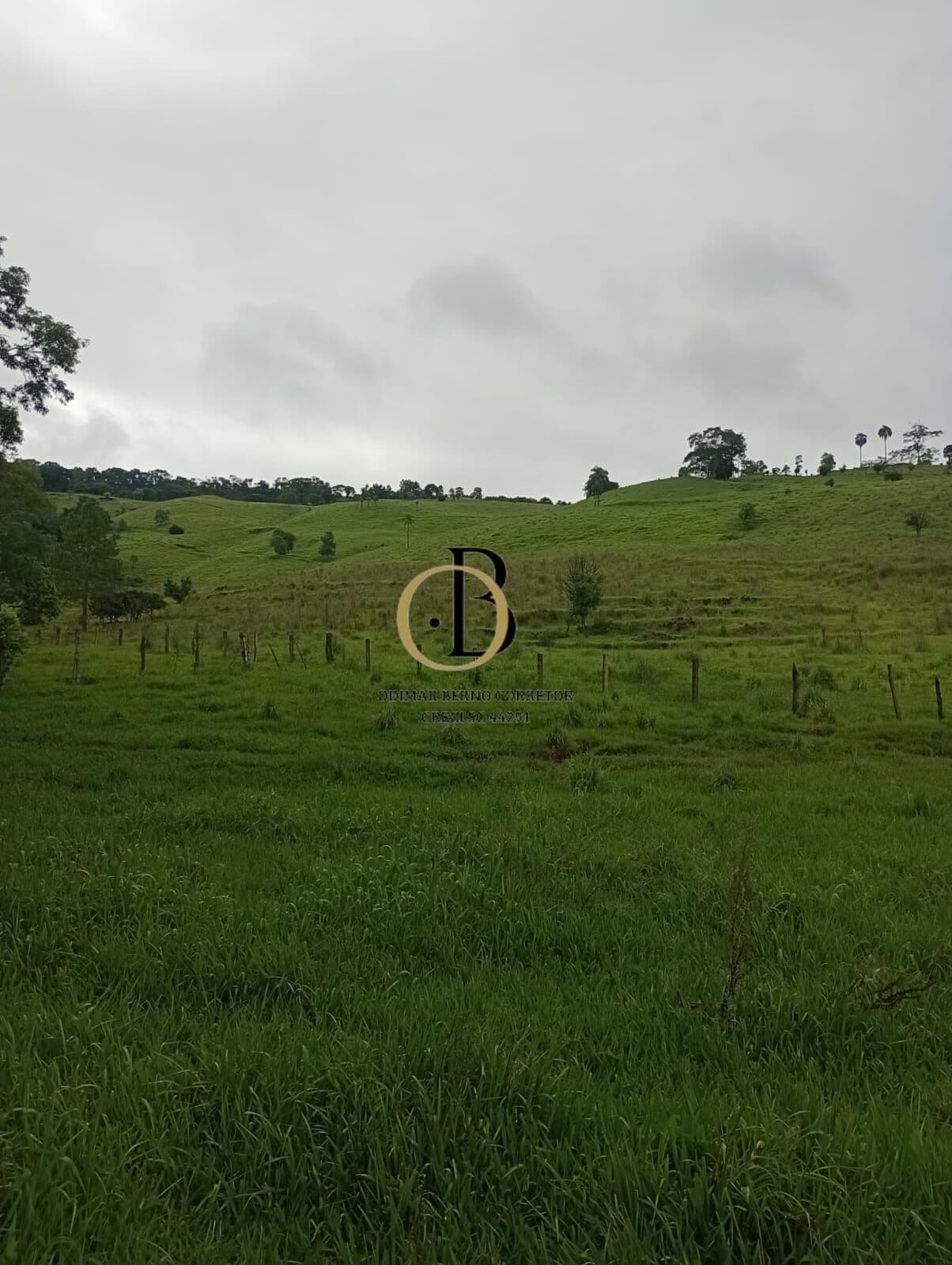 Fazenda/Sítios/Chácaras em Novo Horizonte - Linha São Marcos