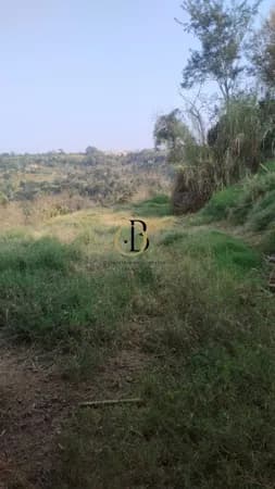 Fazenda/Sítios/Chácaras em Xanxerê - Vista Alegre